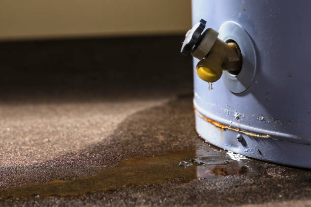 Best 24-hour water damage restoration  in Riverview, SC