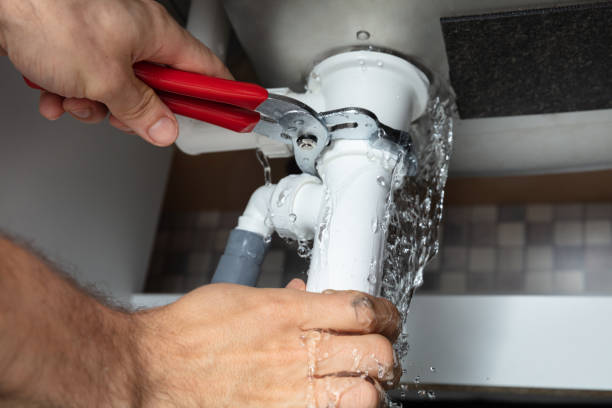 Best Local water damage restoration  in Riverview, SC