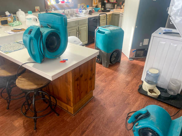 Best Ceiling water damage repair  in Riverview, SC