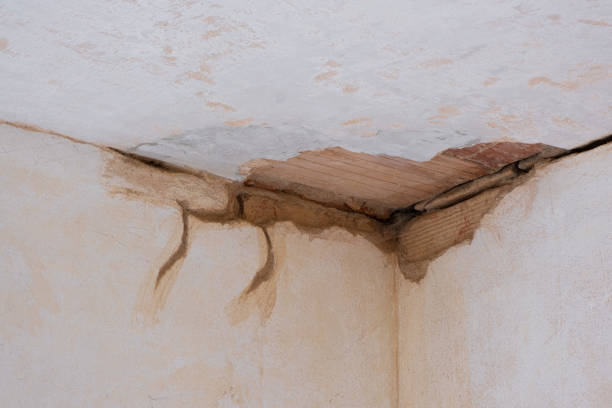 Best Water damage contractors near me  in Riverview, SC