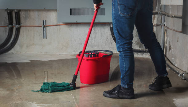 Best Flooded house restoration  in Riverview, SC