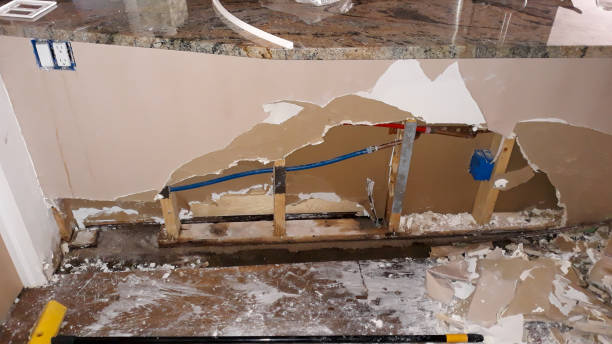 Best Professional water damage repair  in Riverview, SC