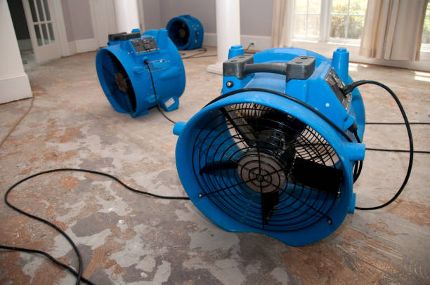 Water damage restoration process in SC