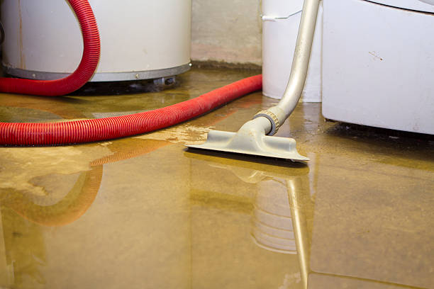 Best Water damage restoration near me  in Riverview, SC