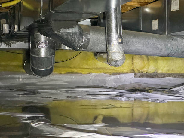 Best Flood restoration services  in Riverview, SC