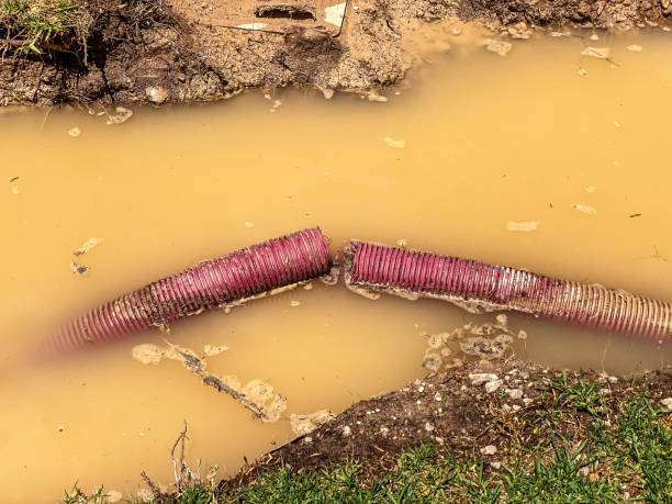 Best Water damage repair service  in Riverview, SC