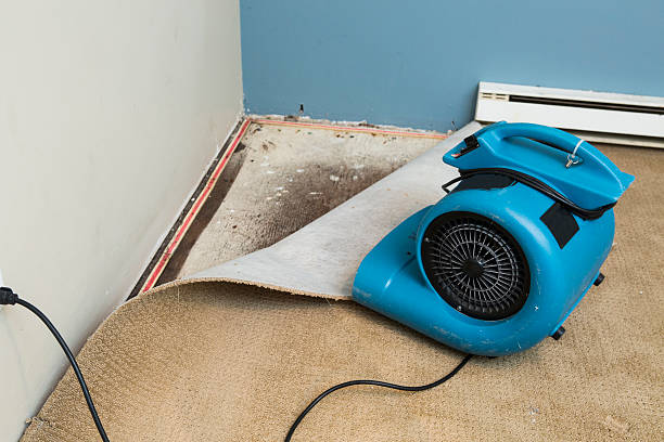 Best Sewage cleanup and water damage restoration  in Riverview, SC